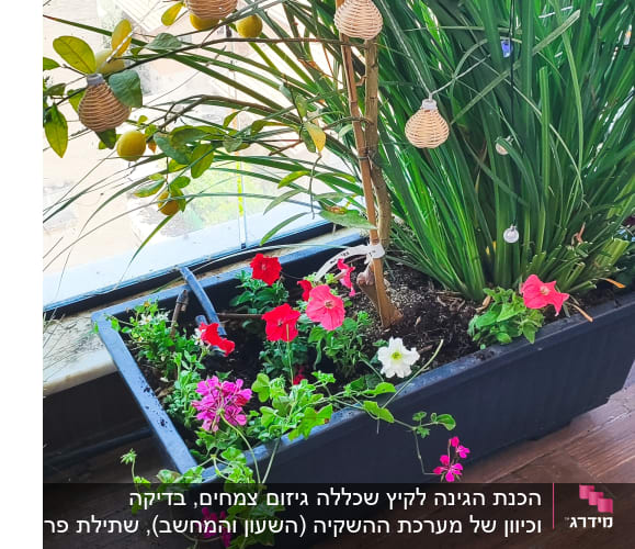 עציץ עם פרחים צבעוניים במרפסת